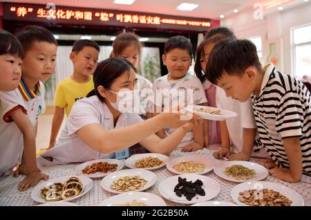 Donghai, Donghai, Chine. 10 juin 2021. Le 9 juin 2021, dans la troisième école maternelle du comté de Donghai, dans la ville de Lianyungang, dans la province de Jiangsu, un professeur de soins de santé enseigne aux enfants la phytothérapie chinoise. Le même jour, la troisième école maternelle du comté de Donghai, dans la ville de Lianyungang, dans la province de Jiangsu, a organisé des enfants pour mener à bien l'activité « apprendre au sujet du festival des bateaux-dragons et reconnaître la médecine chinoise ». Nous avons ressenti le charme de la médecine traditionnelle chinoise à l'approche du Dragon Boat Festival. Crédit : SIPA Asia/ZUMA Wire/Alay Live News Banque D'Images