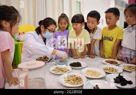 Donghai, Donghai, Chine. 10 juin 2021. Le 9 juin 2021, dans la troisième école maternelle du comté de Donghai, dans la ville de Lianyungang, dans la province de Jiangsu, un professeur de soins de santé fait du thé chinois à base de plantes pour les enfants afin de prévenir les accidents vasculaires cérébraux. Le même jour, la troisième école maternelle du comté de Donghai, dans la ville de Lianyungang, dans la province de Jiangsu, a organisé des enfants pour mener à bien l'activité « apprendre au sujet du festival des bateaux-dragons et reconnaître la médecine chinoise ». Nous avons ressenti le charme de la médecine traditionnelle chinoise à l'approche du Dragon Boat Festival. Crédit : SIPA Asia/ZUMA Wire/Alay Live News Banque D'Images