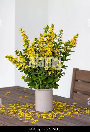 Beau bouquet de fleurs jaunes en vase céramique sur la table de jardin. Banque D'Images