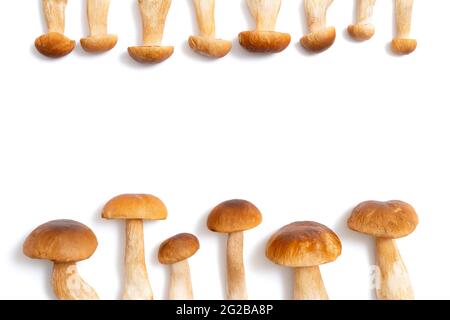 Capuchon brun Boletus edulis isolé sur fond blanc. Plat de champignons comestibles dans la cuisine avec espace pour le texte. Personne Banque D'Images