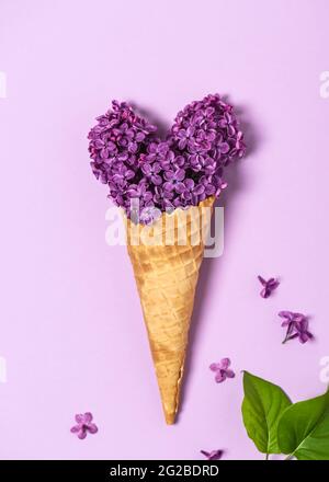 Résumé la vie d'un cornet de gaufres à la crème glacée avec des fleurs comestibles lilas en forme de coeur sur fond rose. Banque D'Images