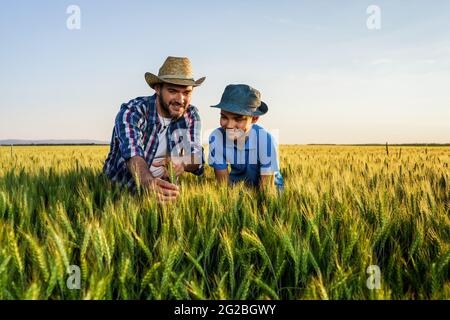 Le père et le fils sont debout dans leur champ de blé en pleine croissance. Père enseigne à son successeur l'agriculture. Banque D'Images