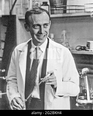 JAMES WATSON Biologiste moléculaire américain et généticien co-auteur avec Francis Crick l'article proposant la structure à double hélice de la molécule d'ADN. Photo sur 1968. Banque D'Images