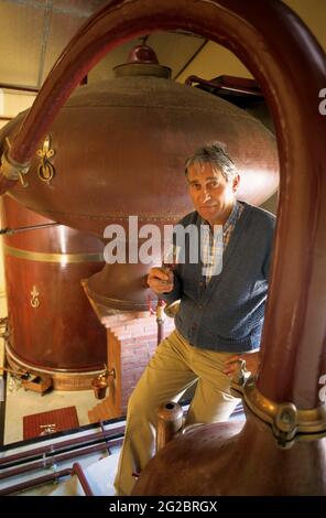 FRANCE. CHARENTE (16) VIGNOBLE DE COGNAC. CHAMPAGNE CHARENTAISE. VILLE DE SEGONZAC. DOMAINE DE LA CHAMBRE. MONSIEUR GEFARD DÉGUSTATION DE COGNAC DEVANT LE Banque D'Images