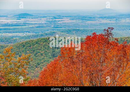 Vue panoramique depuis la Blue Ridge parkway montrant l'aspect bleu brumeux et brumeux connu dans cette partie de la chaîne de montagne Appalachienne. Virginie, États-Unis. Banque D'Images