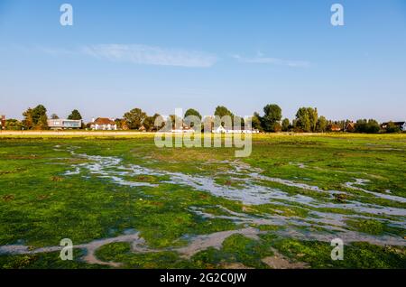 Vue depuis Shore Road des méplats de boue et des rivulets à marée basse, Bosham, un village côtier sur Chichester Harbour, West Sussex, sud de l'Angleterre Banque D'Images