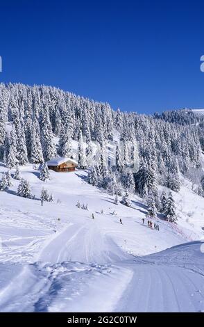 FRANCE, SAVOIE (73) VAL D'ARLY ET BEAUFORTAIN, ESPACE DE SKI DIAMANT, STATION DE SKI LES SAISIES, PENTE POUR ALLER AU VILLAGE DE HAUTELUCE Banque D'Images