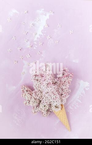Lilas rose pâle dans un cône gaufré sur fond rose, vertical avec espace de copie Banque D'Images