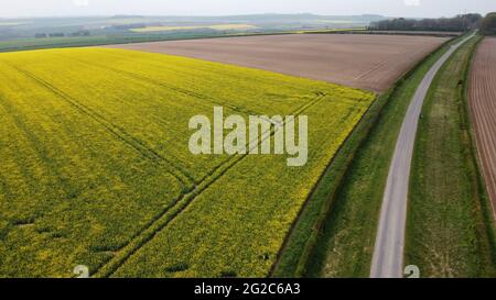 Vue aérienne des champs de ferme rurale, Kiplingcoates, Vale of York, East Riding of Yorkshire, Angleterre, Royaume-Uni Banque D'Images