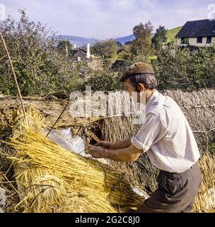 Une thatcher patchant avec de la paille de blé traditionnelle sur un chalet dans le village Exmoor de Luccombe, Somerset Royaume-Uni en octobre 1970 Banque D'Images