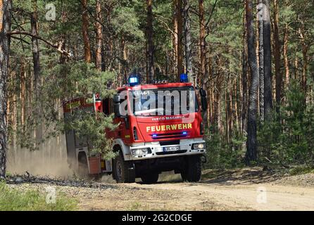 09 juin 2021, Brandebourg, Wünsdorf : un incendie du service d'incendie est en route vers un incendie dans une forêt de pins près de Wünsdorf. Avec la hausse des températures, le danger des incendies de forêt a augmenté dans le Brandebourg. Photo: Patrick Pleul/dpa-Zentralbild/ZB Banque D'Images