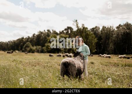 Fille de caresser les moutons Banque D'Images