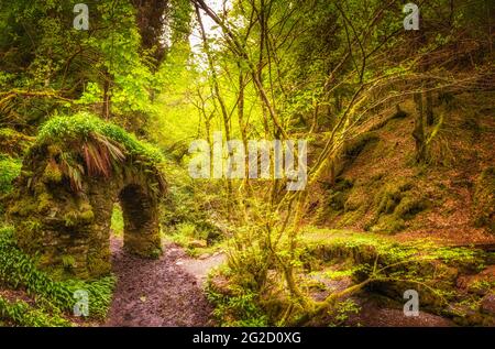 Reelig Glen a été coupé dans le paysage par Moniack Burn comme il coule des collines dans le Beauly Firth. Banque D'Images