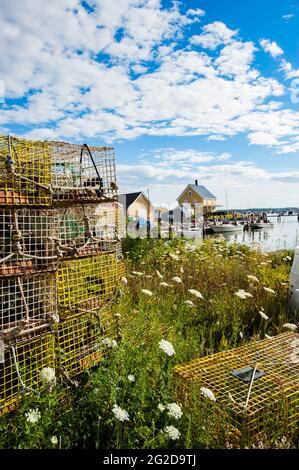 Prises de homard sur le rivage, Carvers Harbour, Vinalhaven, Vinalhaven Island, Maine, ÉTATS-UNIS Banque D'Images