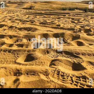 traces et marques de voitures sur sable jaune dans le désert Banque D'Images