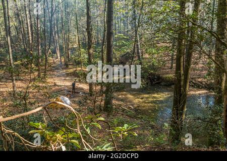 En regardant depuis le sentier, un homme campant avec une tente et un feu de camp le long de la crique dans les bois, par une journée ensoleillée le matin Banque D'Images