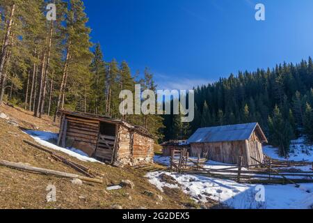 Forêt d'hiver, paysage de montagne en hiver, arbres enneigés. Bulgarie, montagnes Rhodope Banque D'Images