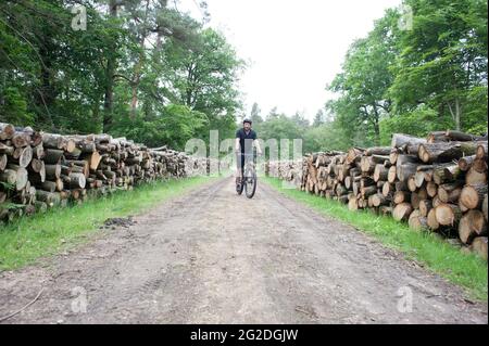 Faire du vélo à travers la Nouvelle forêt sur des pistes cyclables au-delà de piles de bois haché. Banque D'Images