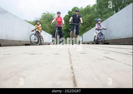 Faire du vélo à travers la Nouvelle forêt sur des pistes cyclables au-delà de piles de bois haché. Banque D'Images