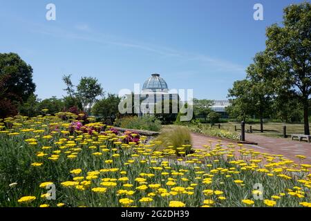 Lewis Ginter jardin botanique avec yarrow jaune qui fleuit devant la véranda. Banque D'Images