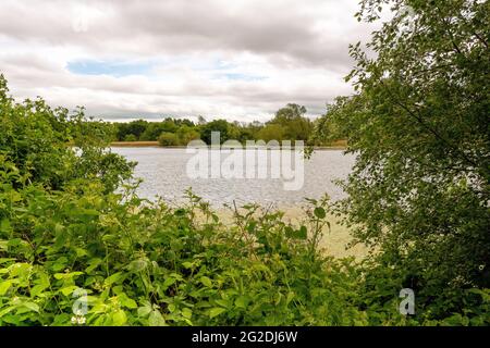 Duddingston Loch est une réserve naturelle pour la faune, Édimbourg, Écosse, Royaume-Uni Banque D'Images