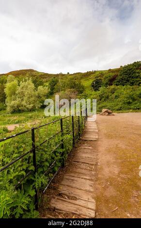 Duddingston Loch est une réserve naturelle pour la faune avec vue sur Arthur Seat, Edimbourg, Ecosse, Royaume-Uni Banque D'Images