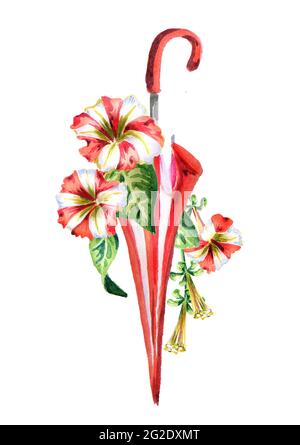 Fleurs rouges et blanches dans un parasol. Illustration aquarelle dessinée à la main Banque D'Images