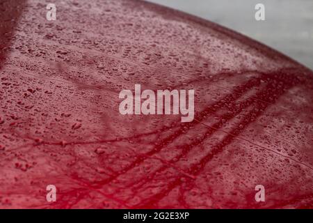 La surface de la voiture dans les gouttes de pluie. La voiture rouge est recouverte d'eau par les précipitations. Banque D'Images