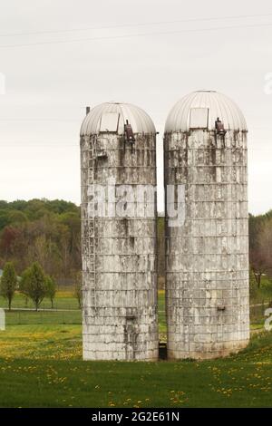 Silos sur les terres agricoles dans l'Ohio rural, États-Unis Banque D'Images