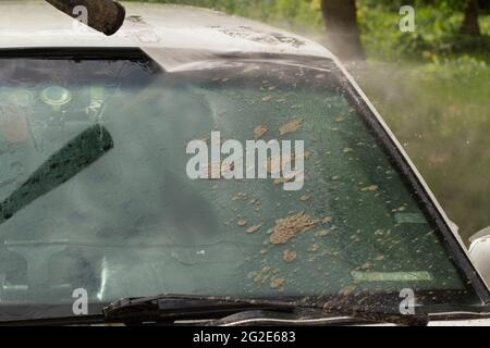 Nettoyer le pare-brise de la saleté. La voiture est lavée par la pression des murs. Entretien des véhicules après une route boueuse. Banque D'Images