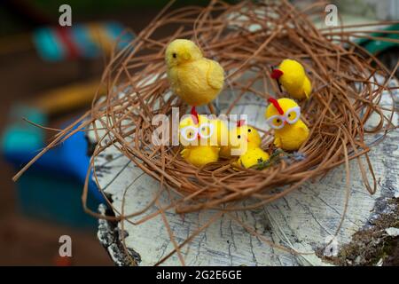 Poulets dans le nid. Les poulets sont faits de laine. Décoration pour la cour de jardin d'enfants. Maison de poulets dans la rue. Oiseaux jaunes mignons. Banque D'Images