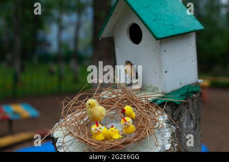 Poulets dans le nid. Les poulets sont faits de laine. Décoration pour la cour de jardin d'enfants. Maison de poulets dans la rue. Oiseaux jaunes mignons. Banque D'Images