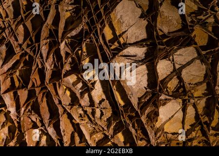 Boxwork complexe à Wind Cave, une formation de grottes que l'on trouve ici plus que n'importe où ailleurs, parc national de Wind Cave, Dakota du Sud, États-Unis Banque D'Images