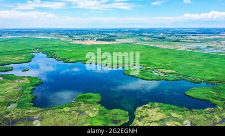 Bayingolin, Chine. 10 juin 2021. La beauté de la zone humide de roseaux du lac Bosten en été à Bayingolin, Xinjiang, Chine, le 10 juin 2021.(photo de TPG/cnschotos) crédit: TopPhoto/Alay Live News Banque D'Images