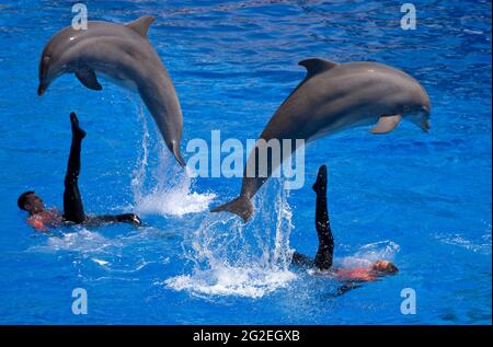 FRANCE. ALPES-MARITIMES (06) ANTIBES. MARINELAND Banque D'Images