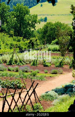 Le jardin des légumes sur le terrain de Monticello, domaine du président Thomas Jefferson près de Charlottesville, en Virginie, une destination touristique populaire. Banque D'Images