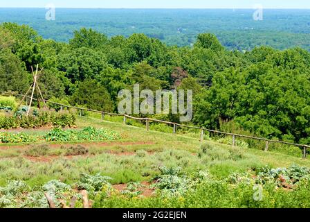 Le jardin des légumes sur le terrain de Monticello, domaine du président Thomas Jefferson près de Charlottesville, en Virginie, une destination touristique populaire. Banque D'Images