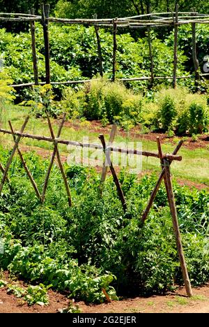 Le jardin des légumes sur le terrain de Monticello, domaine du président Thomas Jefferson près de Charlottesville, en Virginie, une destination touristique populaire. Banque D'Images