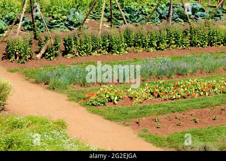 Le jardin des légumes sur le terrain de Monticello, domaine du président Thomas Jefferson près de Charlottesville, en Virginie, une destination touristique populaire. Banque D'Images