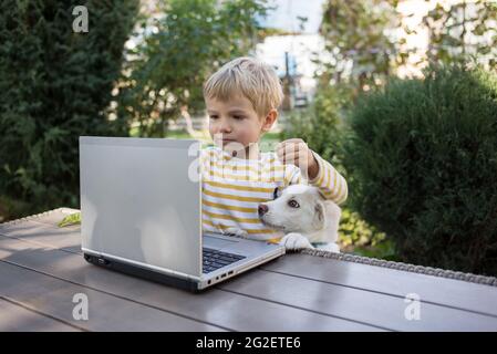 le chiot blanc et le petit garçon se trouvent devant l'ordinateur portable ouvert dans le jardin. Les deux regardent avec intérêt l'écran du gadget. Enfance moderne, drôle de dot Banque D'Images