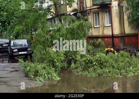 SIEVIERODONETSK, UKRAINE - le 10 JUIN 2021 - UN arbre tombé se trouve sur le sol après une douche à Sievierodonetsk, région de Luhansk, dans l'est de l'Ukraine. Banque D'Images