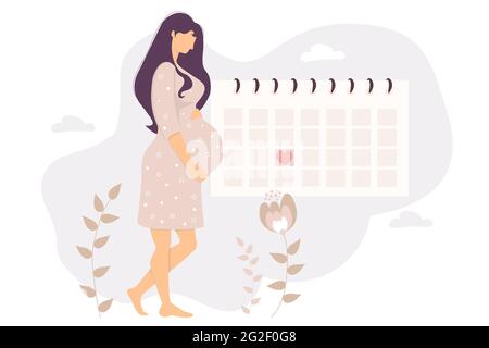 La bonne fille enceinte regarde le calendrier. Belle femme mignonne son ventre et se tient par le calendrier de planificateur sur un fond floral. Vecteur i Illustration de Vecteur