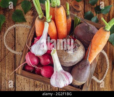 Boîte en bois pleine de légumes frais biologiques de la ferme: Carottes, betteraves, radis et ail du marché local sur une table en bois. Vendre des légumes Banque D'Images