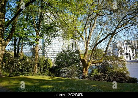 Le parc public Hofgarten de Düsseldorf avec la construction en acier Dreischeibenhaus et le complexe hôtelier de la ville de Kögen en arrière-plan. Banque D'Images