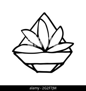 Plante de Doodle dans un pot à facettes. Feuilles dessinées à la main avec pot de fleurs ornementales en poly. Contour d'une plante d'origine isolée sur un fond blanc. Charmant Scandin Illustration de Vecteur