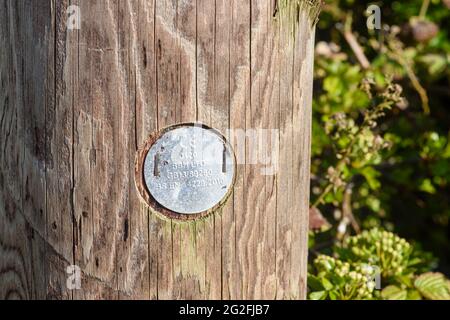 Plaque métallique avec marquage ce sur un poteau télégraphique en bois, indiquant qu'elle est conforme à la législation de l'Union européenne en matière de sécurité, de santé et de protection de l'environnement Banque D'Images