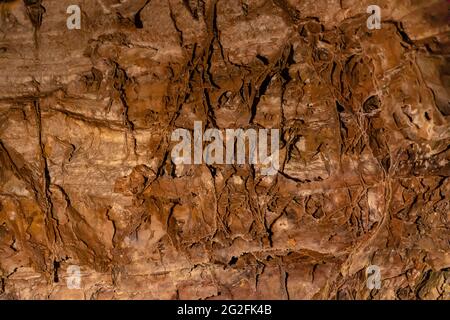 Boxwork complexe à Wind Cave, une formation de grottes que l'on trouve ici plus que n'importe où ailleurs, parc national de Wind Cave, Dakota du Sud, États-Unis Banque D'Images