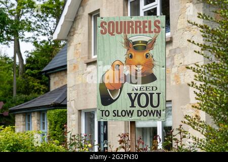 Panneau amusant sur l'île de Wight dans le Hampshire Royaume-Uni avec Lord Kitchener style écureuil rouge commandant des pilotes - 'les excentriques ont besoin de vous ralentir' Banque D'Images