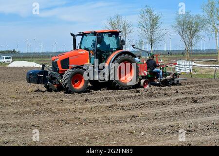 Podersdorf, Autriche - 04 mai 2021: Des helpers inconnus sur un tracteur plantant mécaniquement des vignes Banque D'Images