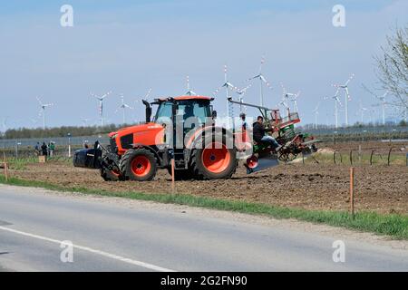 Podersdorf, Autriche - 04 mai 2021: Des helpers inconnus sur un tracteur plantant mécaniquement des vignes Banque D'Images